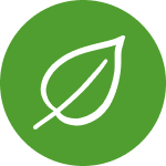 Green Infrastructure Project